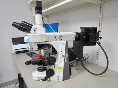 USED NIKON ECLIPSE 50I
