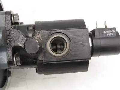 Leeson C4D34DB6C Hydraulic Pump & Motor Permanent Magnet 36VDC Off Rico PLRDD100