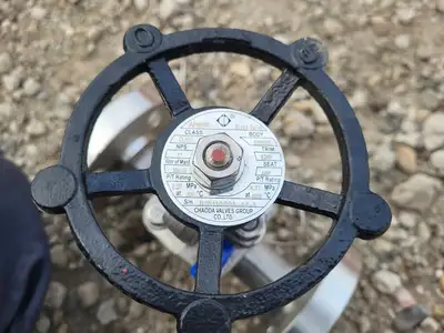 2019 1" Class 600 Globe Valve API 602