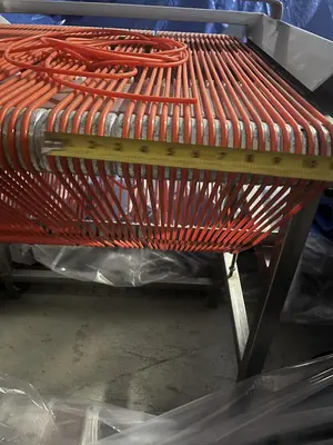 Berry Sizing Conveyor