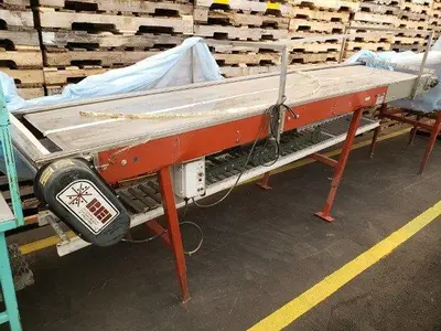 BEI 13' Berry Conveyor