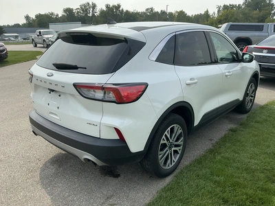 Used 2022 FORD ESCAPE Miscellaneous Trucks/Trailers Michigan US | Miedema Asset Management Group #1489517