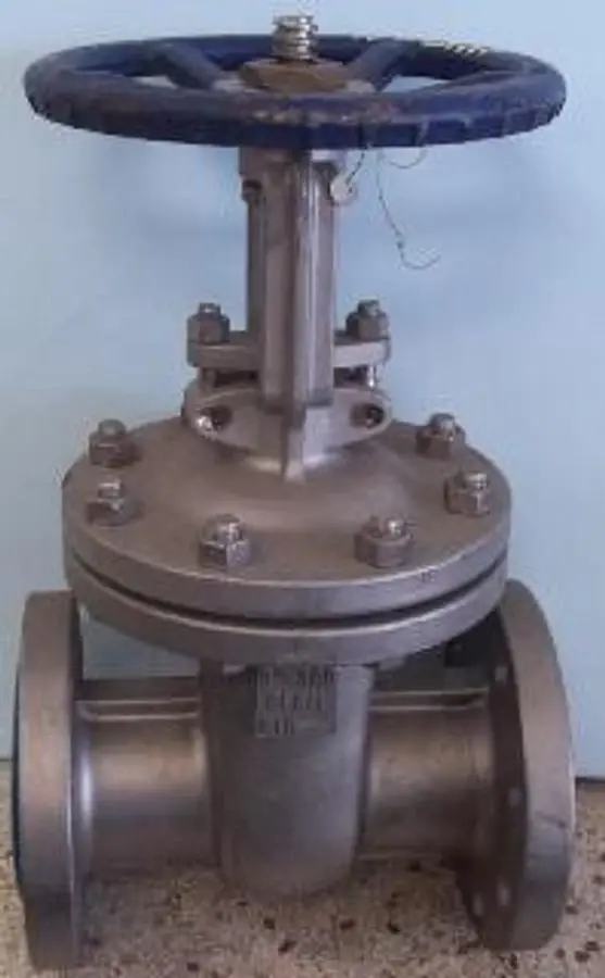 QTY. 1. GTH 3" 300 FLANGED RAISED FACE CF8M GATE V...