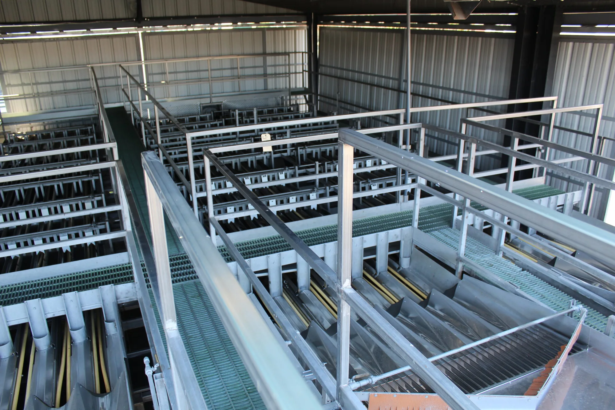 Produce Grade Sizer