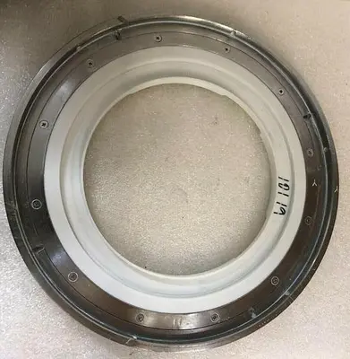 Strasbaugh polisher chuck 10''