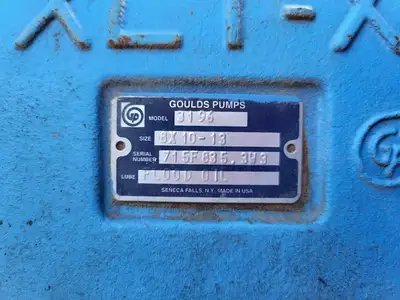 USED GOULDS 3196