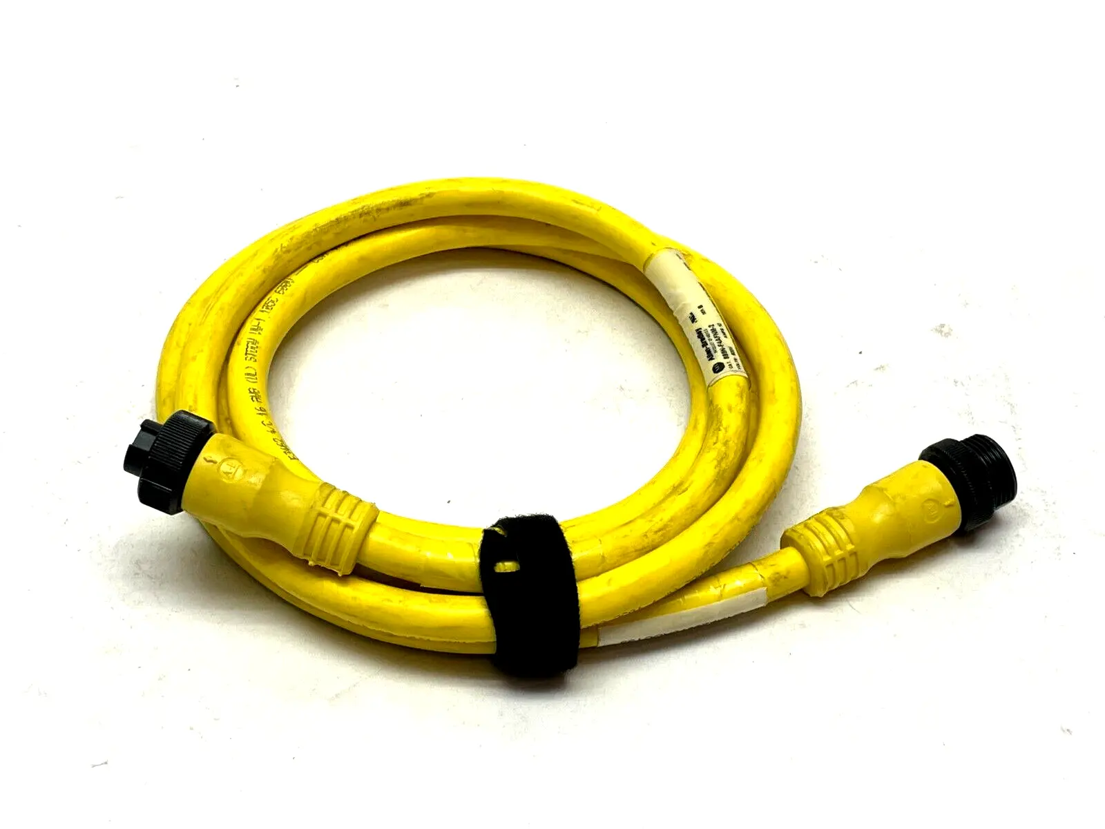 889N-F4AFNM-2 | Allen Bradley  Ser. B Cordset 2m Length - Used