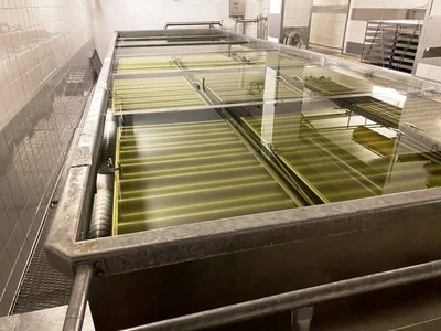Kalt/GEA Westfalia 24 TPD complete cheese plant.