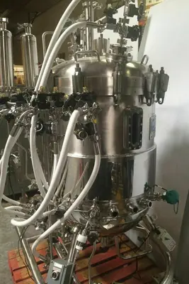 LSL BioLafitte Does Not Apply Bioreactors & Fermenters | Amiron Machinery (5)