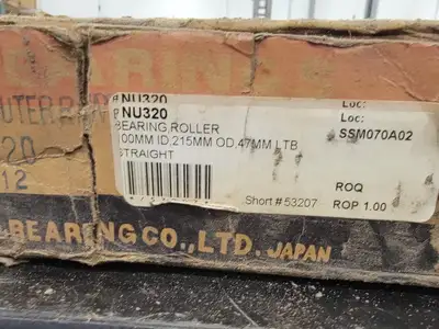 Cylindrical Roller Bearing NU320