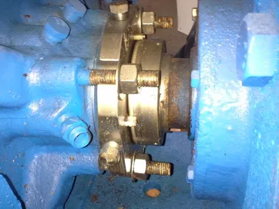 USED Goulds 3175