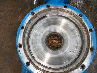 USED Goulds 3175