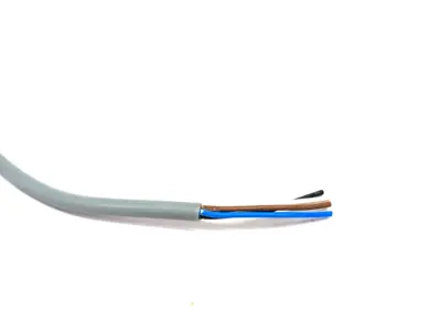 New | in-Stock Pepperl+Fuchs 231953, V31-GM-100M-PVC Cable & Wire Michigan US | Maverick Industrial Sales #1396071