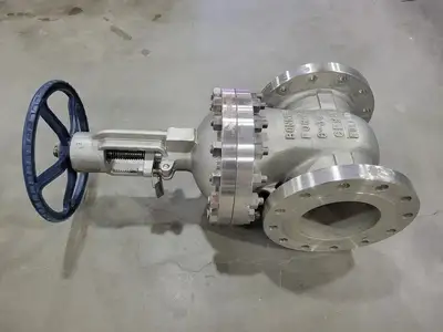 8" Class 300 Gate Valve B16.34