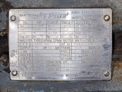 USED GOULDS 3175S