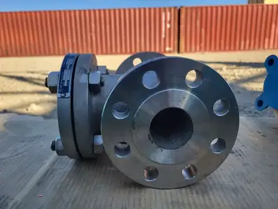 2" Class 300 Globe Valve API 594