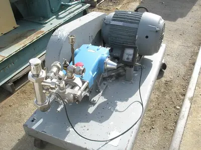 Homogenizer, Triplex, 316 Stainless Steel, 15 HP #S738672