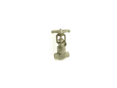 Bonney Forge WL-12-T Gate Valve 1/2"x1/2" Weld Socket-NPT Forged Steel
