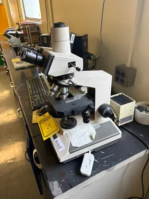 Used _UNKNOWN_ _UNKNOWN_ Microscopes Ohio US | Myron Bowling Auctioneers Inc #1504667