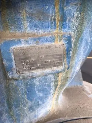 Goulds 3175 10x12x18 SS Pumps
