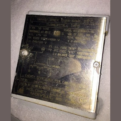 Moloney Knan 50 kVA Submersible Transformer