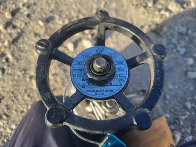 1" Class 800 Globe Valve API 602