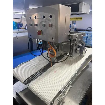 Used Marel _UNKNOWN_ Slicers / Dicers / Cutters | ISCA #1298929