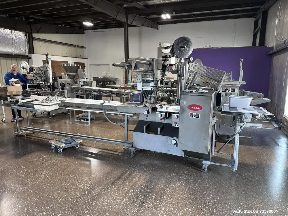 Used DOBOY MUSTANG IV Flow Wrappers Illinois US | Aaron Equipment #86894