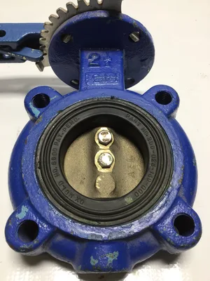 Keystone 2.5″ Valve Iron Lugged Butterfly Valve