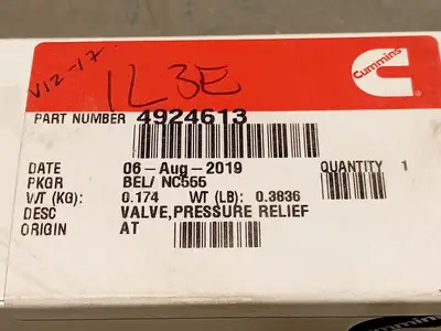 NEW 2019 CUMMINS 4924613