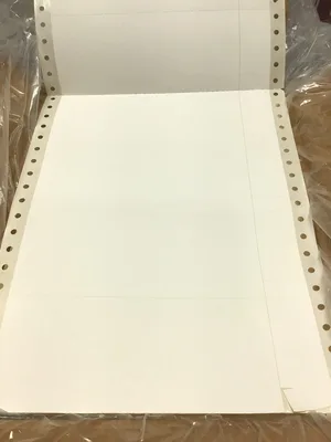 Matrix Tractor Feed Printer Paper Computer Labels Sheets