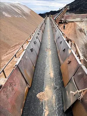 Conveyor, Belt, 115' L Grasshopper Conveyors in 36" and 42" Width, Offered in Multiples of 6 Conveyors, NOT Individually #5991382