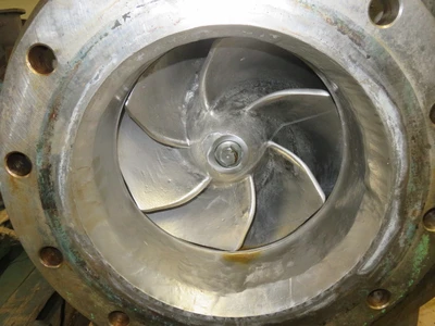 USED Goulds 3175
