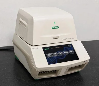 Used BIO-RAD CFX96 Biotechnology New Jersey US | Bionex Scientific LLC #800260