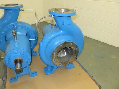 USED Goulds 3196XLT