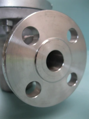NEW Cashco D55AXX7-4CX55237E