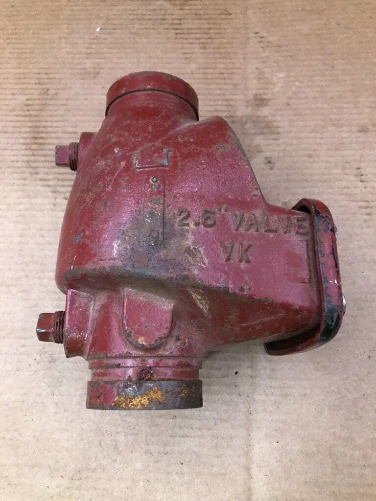 Viking D-1 2-1/2″ Cast Iron Swing Check Valve 250PSI 05497C