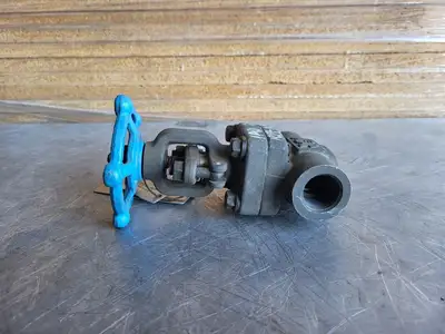 3/4" Class 800 Gate Valve B16.34
