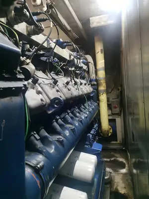 USED MWM Group (Germany) TBG620  TCG2020