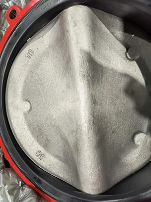 Bray 316 SS Butterfly Valves | Fram Fram LLC (14)