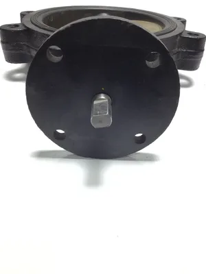 38032-UA-C91 8″ Butterfly Valve