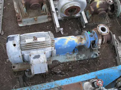 USED GOULDS 3196