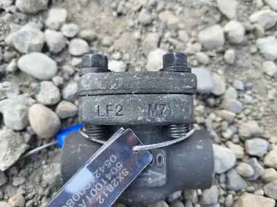 1/2" Class 800 Check Valve API 602