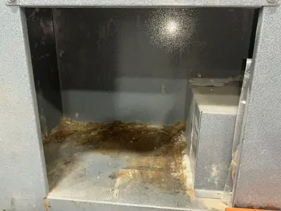 Used PACKAGING AIDS CORPORATION V20OB250 Miscellaneous Packaging Equipment Ohio US | HGR 24 #1460627