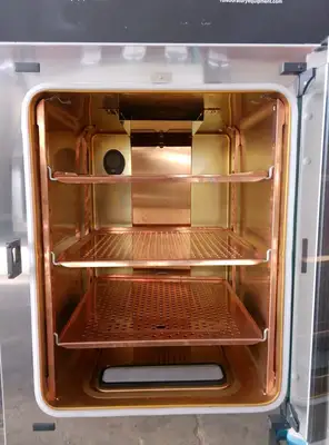 Thermo HERAcell Vios 160i Copper CO2 Incubator (2023) Looks New, Calibrated
