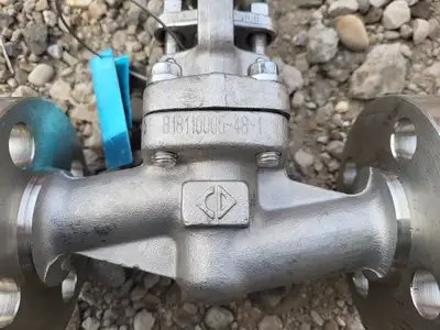 2019 1" Class 600 Globe Valve API 602