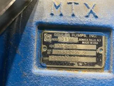USED GOULDS 3196