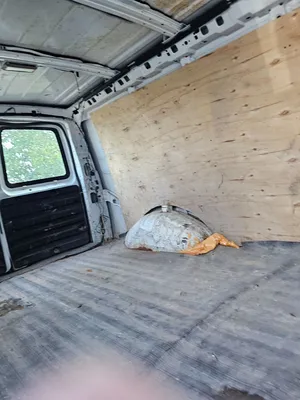 2004 CHEVROLET EXPRESS 3500 Van | Iron Listing (11)