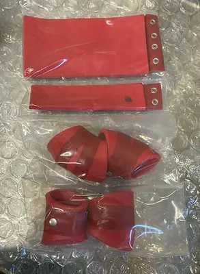 EDWARDS Y14109040 2'' VLV CROWN TMS KIT