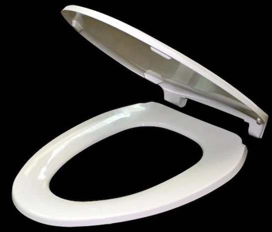Oval Toilet Seat mold
